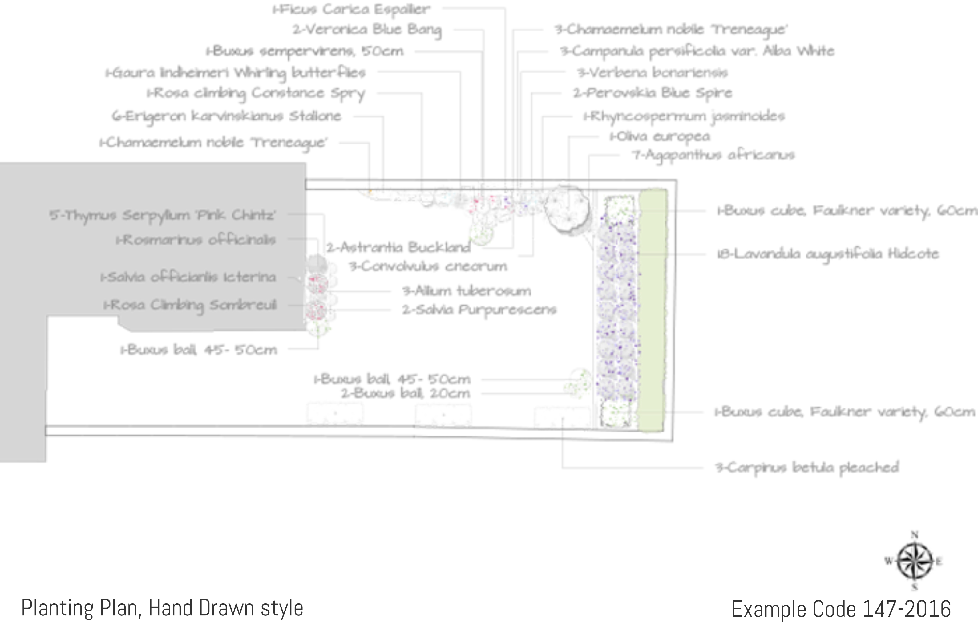 Planting Plan